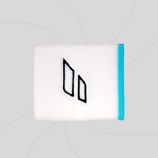 (NEW ORIGINAL) Babolat Terry Jumbo Wristband